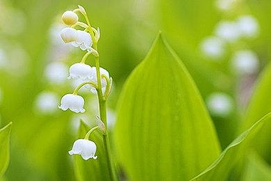  美少女名作《蓝色反射：燦》确定2月21日发售